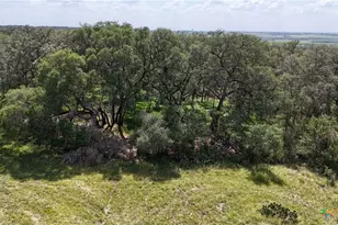 2725 Old Lehmann Rd, Kingsbury, TX 78638 - Photo 41