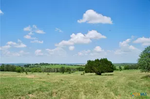 2725 Old Lehmann Rd, Kingsbury, TX 78638 - Photo 31