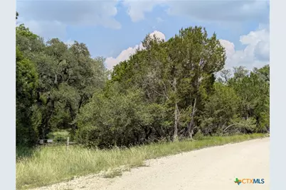 Tract 1 County Road 4390, Kempner, TX 76539 - Photo 5