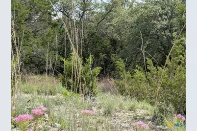 Tract 1 County Road 4390, Kempner, TX 76539 - Photo 11