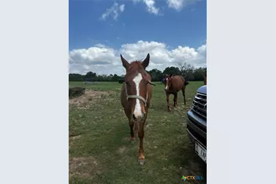 1315 Crossfire Trail, Killeen, TX 76542 - Photo 23