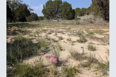 Tract 4 County Road 4390, Kempner, TX 76539 - Photo 3