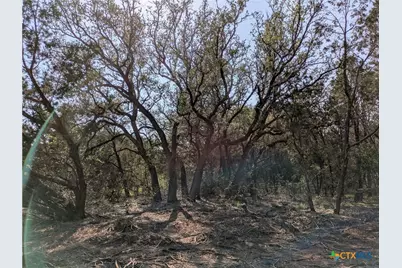 Tract 5 County Road 4390, Kempner, TX 76539 - Photo 5