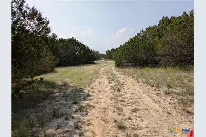 Tract 5 County Road 4390, Kempner, TX 76539 - Photo 3