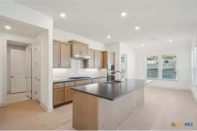 104 Wild Honeysuckle Way, San Marcos, TX 78666 - Photo 9