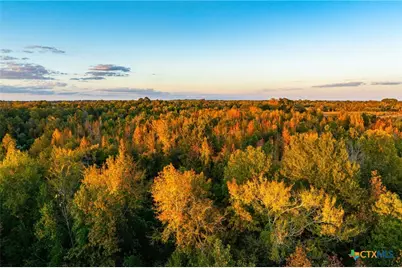 00 County Road 3411, Chandler, TX 75758 - Photo 7