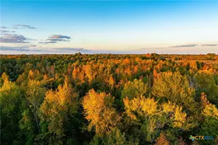 00 County Road 3411, Chandler, TX 75758 - Photo 7