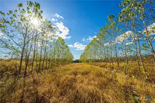 00 County Road 3411, Chandler, TX 75758 - Photo 17