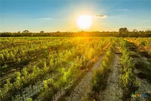 00 County Road 3411, Chandler, TX 75758 - Photo 27