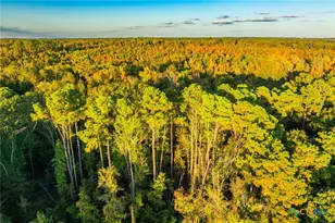 00 County Road 3411, Chandler, TX 75758 - Photo 11