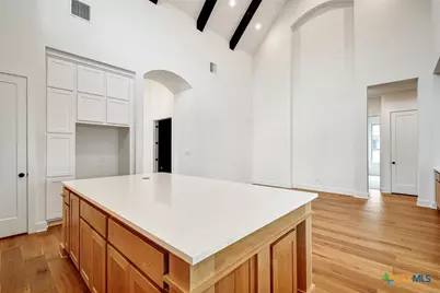 125 Cherokee Sedge Path, San Marcos, TX 78666 - Photo 9