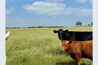 12 Acres Smith Dairy Road, Belton, TX 76513 - Photo 15