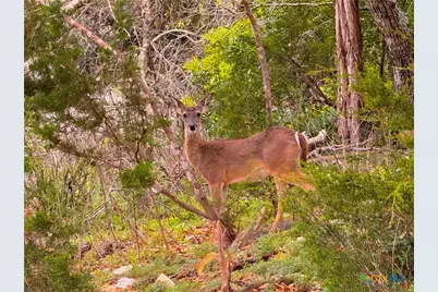 2154 Alto Lago, Canyon Lake, TX 78133 - Photo 9