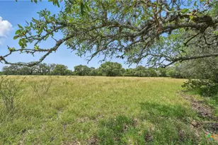 Tbd(Ii) US Hwy 90A E, Hallettsville, TX 77964 - Photo 21