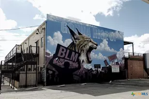 165 S Guadalupe St, San Marcos, TX 78666 - Photo 11