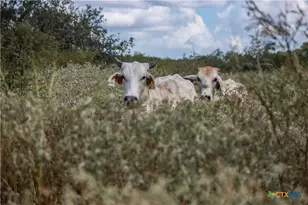 000 Fm 766, Cuero, TX 77954 - Photo 15