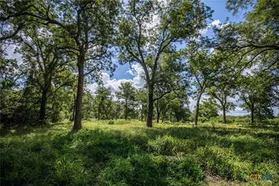 000 Fm 766, Cuero, TX 77954 - Photo 41