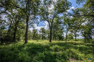 000 Fm 766, Cuero, TX 77954 - Photo 41