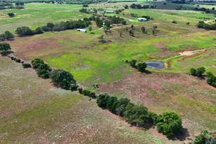 444 Wattsville Rd, Luling, TX 78648 - Photo 43