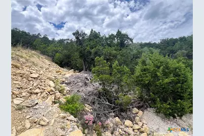 1597 Trail Pass Drive, Canyon Lake, TX 78133 - Photo 3