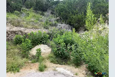 1609 Trail Pass Drive, Canyon Lake, TX 78133 - Photo 3