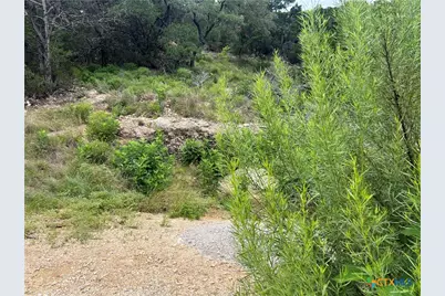 1609 Trail Pass Drive, Canyon Lake, TX 78133 - Photo 7