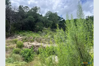 1609 Trail Pass Drive, Canyon Lake, TX 78133 - Photo 5