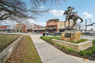 148 Cutleaf Cove, San Marcos, TX 78666 - Photo 29