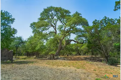 11916 Jim Bridger Drive, Austin, TX 78737 - Photo 13