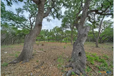 11916 Jim Bridger Drive, Austin, TX 78737 - Photo 21