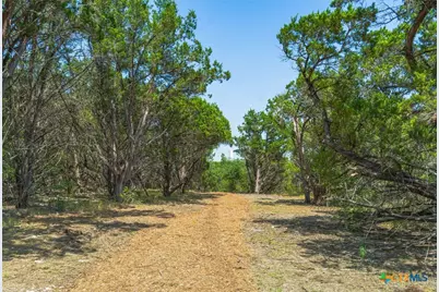 11916 Jim Bridger Drive, Austin, TX 78737 - Photo 9