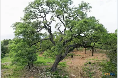 11916 Jim Bridger Drive, Austin, TX 78737 - Photo 7