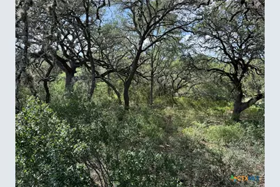 211 Hunters Glen Road, San Marcos, TX 78666 - Photo 9