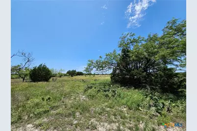 Lot 111 Shin Oak Drive, Lampasas, TX 76550 - Photo 1