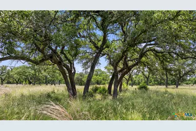 1241 Sandy Oaks Ranch Road, Johnson City, TX 78636 - Photo 31