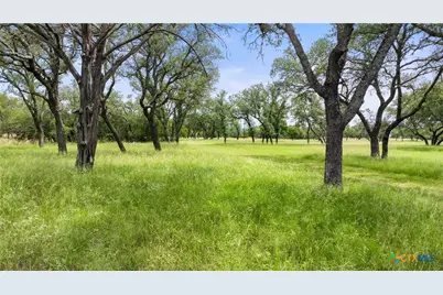 1241 Sandy Oaks Ranch Road, Johnson City, TX 78636 - Photo 19