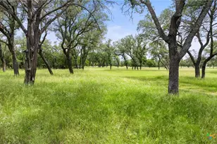 1241 Sandy Oaks Ranch Rd, Johnson City, TX 78636 - Photo 19