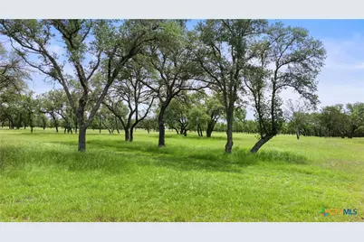 1241 Sandy Oaks Ranch Road, Johnson City, TX 78636 - Photo 13