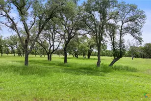 1241 Sandy Oaks Ranch Rd, Johnson City, TX 78636 - Photo 13