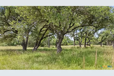 997 Sandy Oaks Ranch Rd, Johnson City, TX 78636 - Photo 3