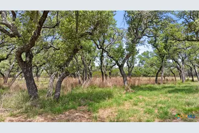 997 Sandy Oaks Ranch Rd, Johnson City, TX 78636 - Photo 15