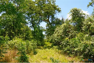 Tbd Fm 3233, La Grange, TX 78945 - Photo 11