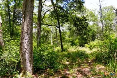 Tbd Fm 3233, La Grange, TX 78945 - Photo 9