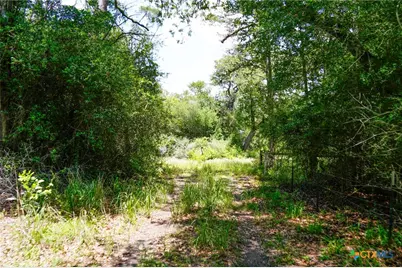 Tbd Fm 3233, La Grange, TX 78945 - Photo 7