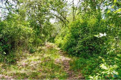 Tbd Fm 3233, La Grange, TX 78945 - Photo 3