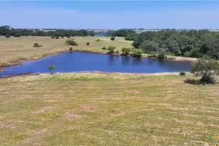 Tbd Lot 2 County Road 236, Bertram, TX 78605 - Photo 13