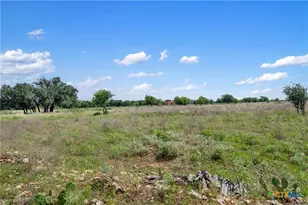 1100 1150 County Road 308 Rd, Jarrell, TX 76537 - Photo 15