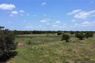 1100 1150 County Road 308 Rd, Jarrell, TX 76537 - Photo 7