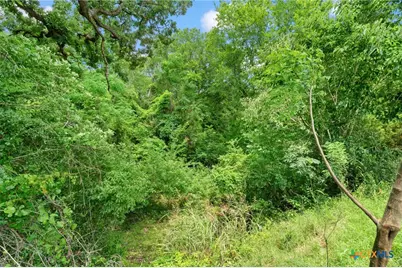 1010 Saint Delight Road, Paige, TX 78659 - Photo 33