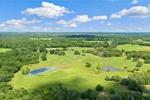 1010 St Delight Rd, Paige, TX 78659 - Photo 17